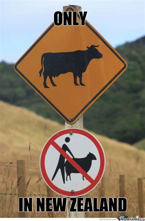 Jun 22, 2021 · the indian bowlers could not leave much of an impact in the 49 overs they bowled on the third day of the ind vs nz wtc final test. 11 best NZ meme time images on Pinterest | New zealand ...