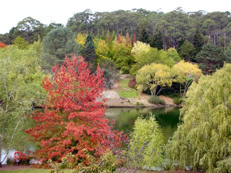 Adelaide Botanic Gardens Botanical Gardens East Coast Outdoor