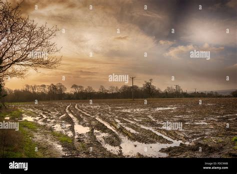Water Logged Fields Stock Photo Alamy