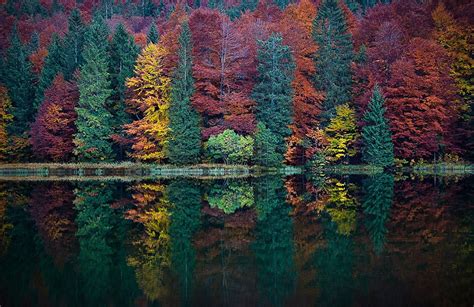 10 Amazing Autumn Pictures Which Became Very Popular On Blogs
