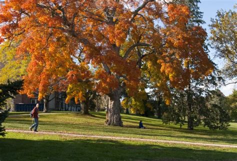 Climate Change Could Affect Fall Foliage Timing Uconn Today