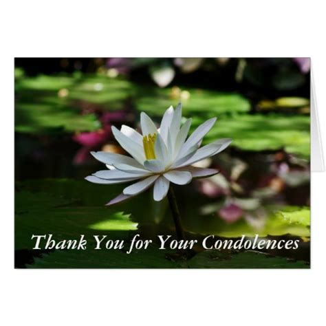 My/our heartfelt condolences go out to you and your family. Writing Condolence Thank You Notes