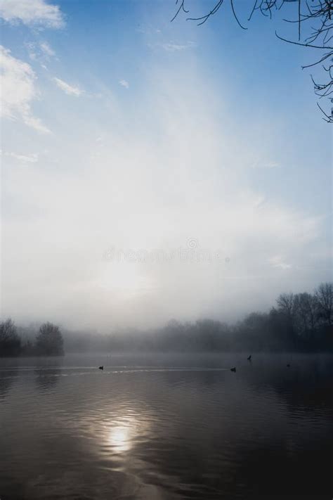 Mist Hovering Over A Cold Lake In Goldsworth Park Surrey Woking