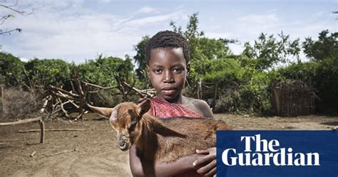 Kenyas Masai Traditions Threatened By Climate Change Environment