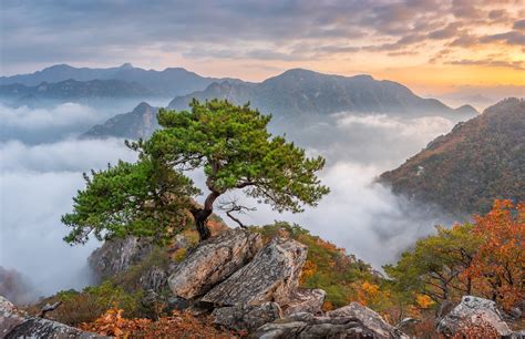 474467 Nature Landscape Rock Trees Asia Mountains South Korea