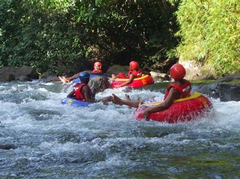 Layou River Gorge Dominica Caribbean Top Tips Before You Go