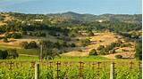 Pictures of Vacation Packages Napa Valley California