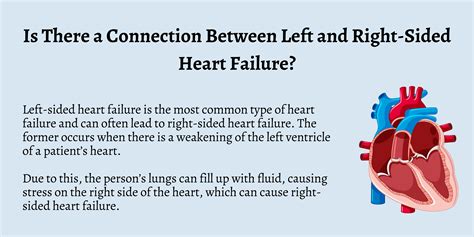 What Is The Difference Between Left And Right Sided Heart Failure