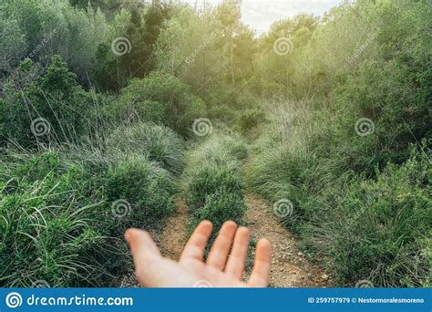 Human Hand In A Road In The Middle Of The Nature Stock Image Image Of