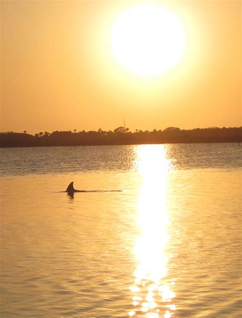 Jbs Fish Camp New Smyrna Beach Fllous Favorite