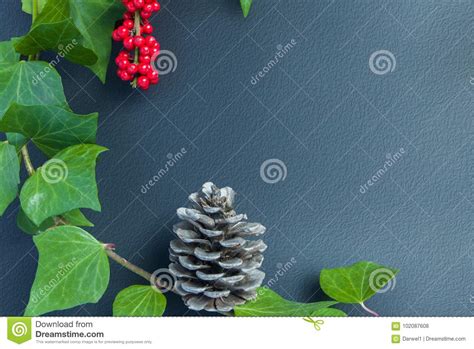 Elegant Leaves Rowan Berry And Cone Autumn Background