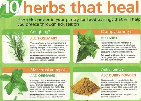 Pin By 🤙🏽 On Food Health Healing Herbs Herbs Natural Herbal Remedies