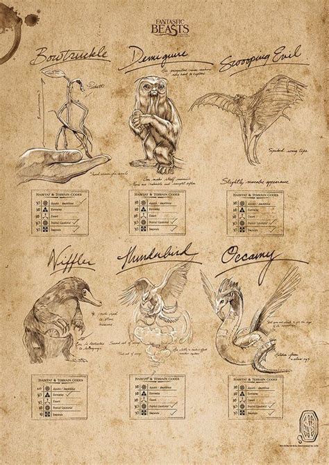 Fantastic Beasts And Where To Find Them Beasts Sketchbook Graphic Art