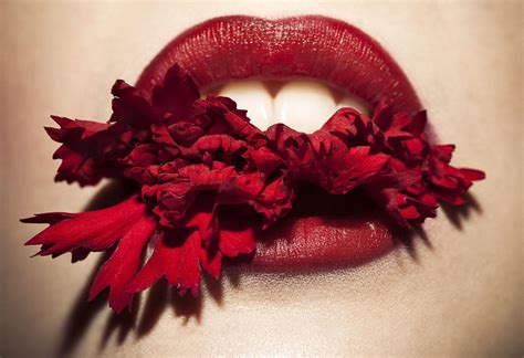 Red Velvet Lips And Flower Petals Red Lips Lady In Red Glamorous
