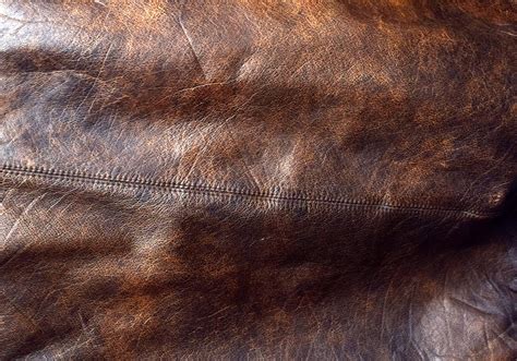 Genuine Leather 1 Free Stock Photo Public Domain Pictures