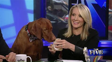 Jaspers 3rd Birthday Celebrated With The Five With Mommy Dana Perino