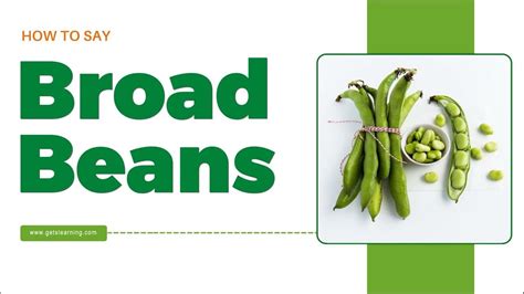 How To Pronounce Broad Beans In English Correctly Youtube
