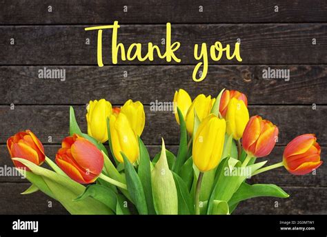 Thank You Message Colorful Tulips On Wooden Background Spring Flower