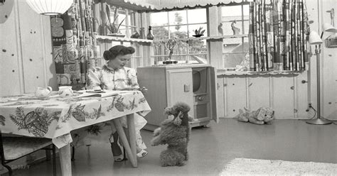 Actress Betty White At Home With Her Dog Los Angeles