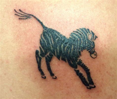 great zebra pictures tattooimagesbiz