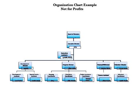 Non Profit Organizational Chart Organizational Chart Organization