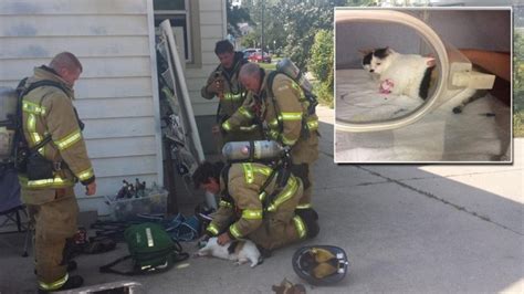 Firefighters Revive Unresponsive Cat Pulled From House Fire With Tiny Oxygen Mask Inside Edition