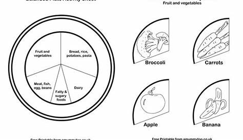food plate for kids worksheet - Google Search | Balanced plate, Healthy