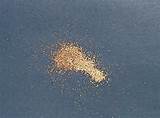 Images of Termite Dust