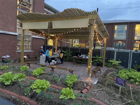 Wheatleys Garden Is Growing The Edible Schoolyard New Orleans