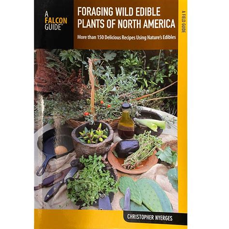 Foraging Wild Edible Plants Of North America By Christopher Nyerges