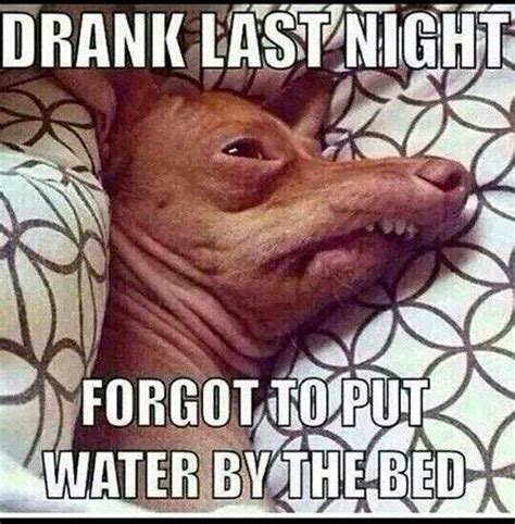 42 Hangover Memes That Capture The Regret Of Drinking Too Much