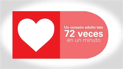 ¿qué Es Y Cómo Funciona El Corazón Youtube