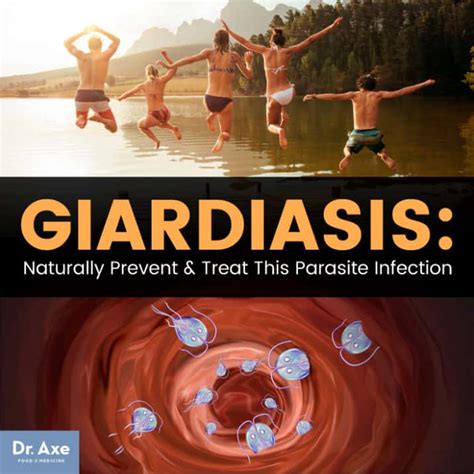 Giardiasis Prevention 4 Natural Treatments For Giardia Infection Dr