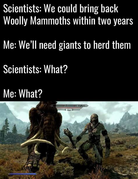 100 Skyrim Memes To Refresh Your Mind Jokerry Part 8