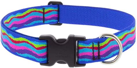 The Top 5 Best Dog Collars For Every Type Of Pup