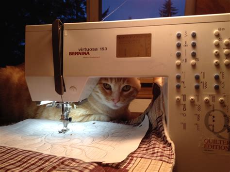 Pin By Dolly Wilfley On Cats Sewing Machine Bernina Cats