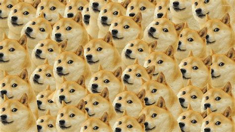 66 Doge Meme Wallpaper 4k
