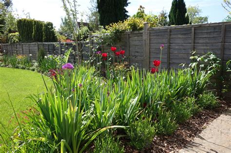 Large Back Garden In Ickenham Needs Garden Planting Advice