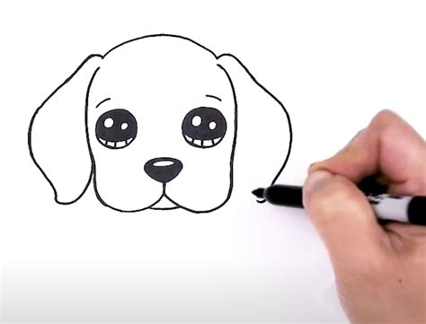 Learn To Draw A Beagle Easy Step By Step Guide For Beginners Rocky