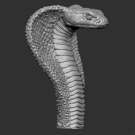 Cobra Head 3d Print Model By Craft3d