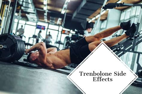 Trenbolone Side Effects What You Need To Know