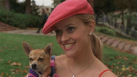 Legally Blonde 3 Everything We Know About Elle Woods Return Youtube