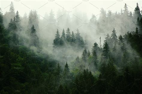 Misty Mountain Landscape ~ Nature Photos ~ Creative Market