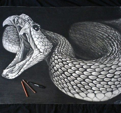 Realistic Snake Drawing How To Draw A Realistic Snake Draw Real