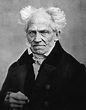 File:Arthur Schopenhauer by J Schäfer, 1859b.jpg - Wikimedia Commons