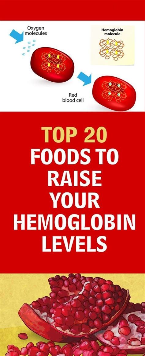 Top 20 Foods To Raise Your Hemoglobin Levels Food Hemoglobin Levels