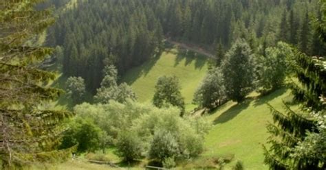 NP Pyjet e Maqedonisë përballet ne mungesë kuadri Telegrafi Telegrafi
