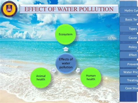 What are the causes of water pollution. Water Pollution