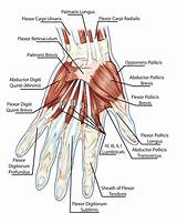 Intrinsic Hand Muscle Exercises