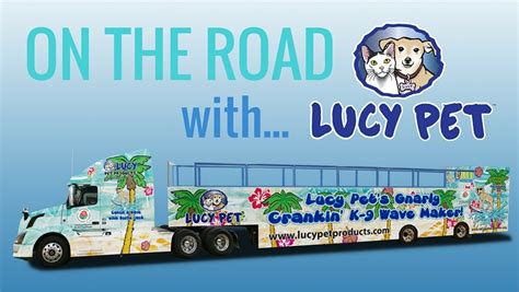 For this year super bowl we have seen two commercials with pets: On The Road with... The Lucy Pet Foundation - Bodie On The ...